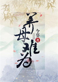 养母的花样年华1-55集剧情介绍